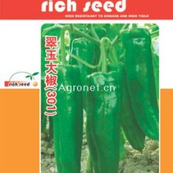 供应翠玉大椒（301）-辣椒种子