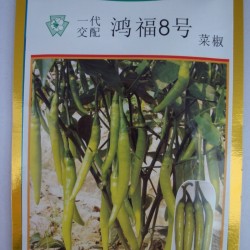 供应日本SAKATA鸿福8号—菜椒种子