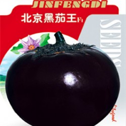 供应北京黑茄王-茄子种子