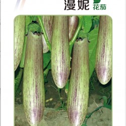 供应漫妮花茄—茄子种子