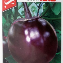 供应科硕红冠—茄子种子