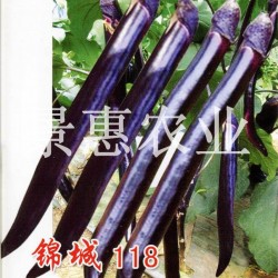 供应锦城118—长茄种子
