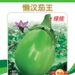 供应绿园茄——绿炫