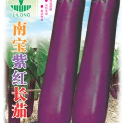 南宝紫红长茄——茄子种子