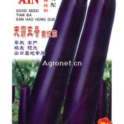 供应天霸三号紫红茄-茄子种子