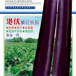 供应港优紫红长茄—茄子种子