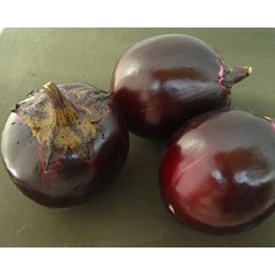 供应早紫丸—茄子种子