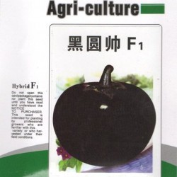 供应黑圆帅F1—茄子种子