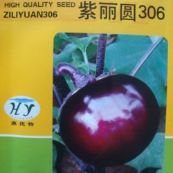 供应紫丽圆306—茄子种子