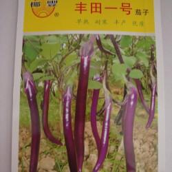 供应丰田一号—长茄种子