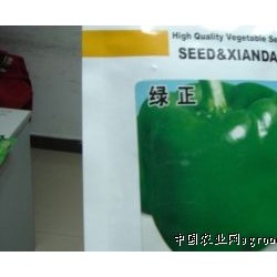 供应绿正----甜椒杂交品种