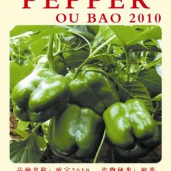 供应欧宝2010F1—甜椒种子