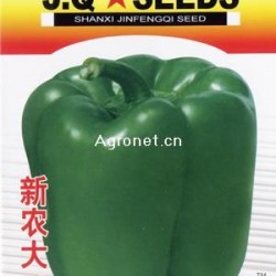 供应新农大40甜椒—甜椒种子