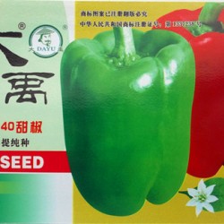 供应农大40甜椒-—甜椒种子