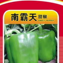 供应一统甜椒—甜椒种子