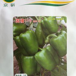供应国禧113—甜椒种子