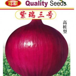 供应福祺® 紫瑞三号——洋葱种子