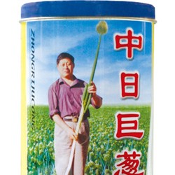 供应大葱种子——中日巨葱