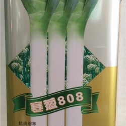 供应寒葱808—葱种子