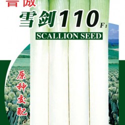 供应鲁傲雪剑110F1—大葱种子