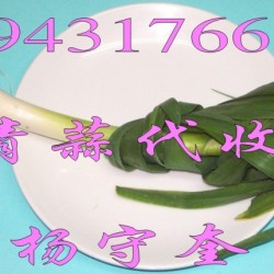 供应大蒜.萝卜（吉林 农安）