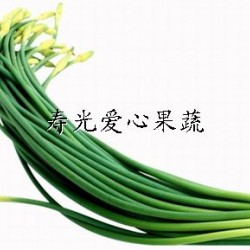 供应寿光套菜、寿光蔬菜——蒜苔