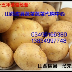 供应大量供应土豆