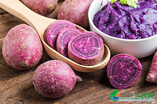 紫薯的营养价值和功效与作用及吃紫薯的禁忌