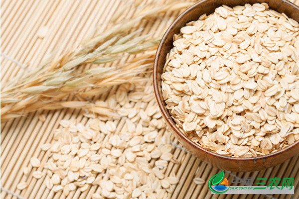 燕麦的功效与作用是什么？野燕麦的功效与作用有哪些？