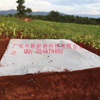 软体集雨水窖