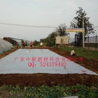 软体集雨水窖集雨补灌水肥一体化应用