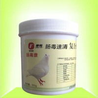 供应鸽药，防治沙门氏菌，防治肠道疾病，值得信赖的鸽药产品