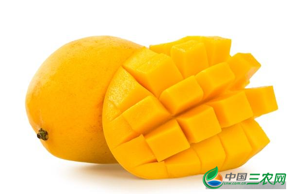 吃芒果的饮食禁忌是什么？芒果不能和什么食物同吃？“吃货”要注意