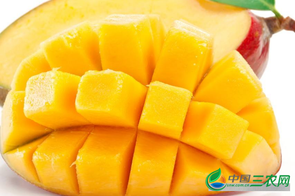 吃芒果的饮食禁忌是什么？芒果不能和什么食物同吃？“吃货”要注意