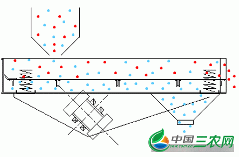 莲子振动筛子 铁红磨白老莲子震动筛选机 尚品莲皇供应 16670790853