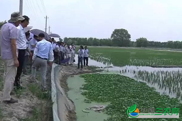 稻田种养有哪些方式?