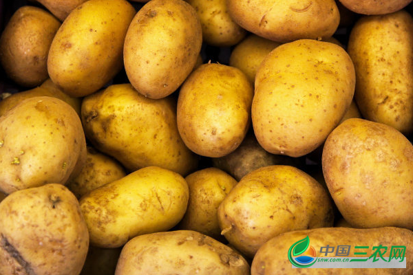 土豆高产的方法有哪些？