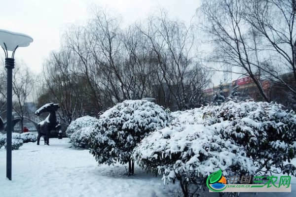 园林景观降雪解决方式有哪些？