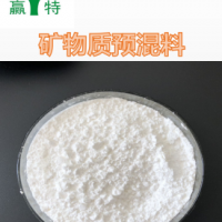 广州赢特牌食品营养强化剂矿物质预混料补充微量元素