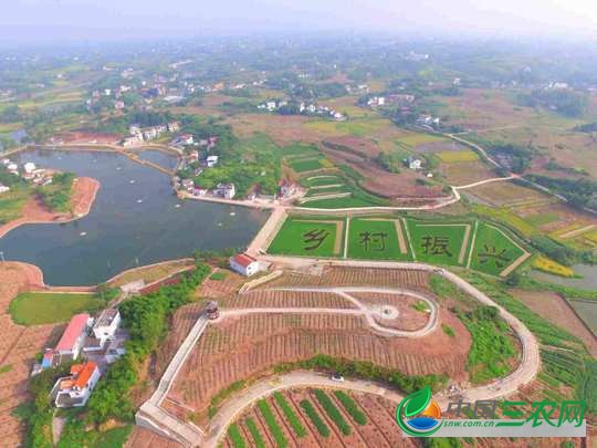 中国·隆昌“质量稻田小龙虾”文化旅游节新闻发布会举行