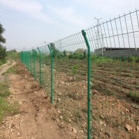 果园圈地绿色铁丝网护栏网养殖业隔离网防护钢丝网