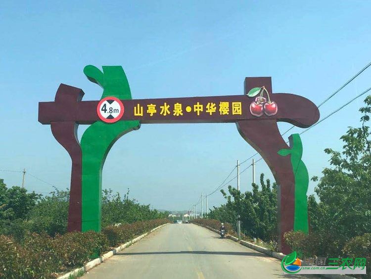 中国三农网公益助农行动 ,走进枣庄樱桃山
