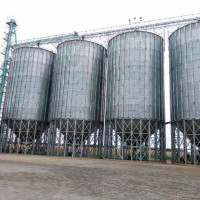 面粉厂养殖场常用粮食钢板仓