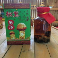 松茸泡酒现货批发零售。包装定制。代生产加工