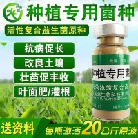 益富源种植专用益生菌 种植em菌种 瓜果蔬菜农作物通用