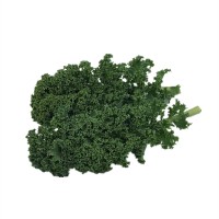 羽衣甘蓝新鲜果蔬健身轻食榨汁kale绿色蔬菜沙拉火锅西餐食材