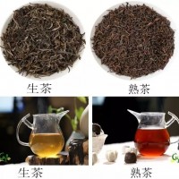 2022成都新茶嫩茶海选工作室经纪人推荐普洱茶的功效