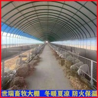 养羊大棚施工安装 羊舍大棚建设 养羊棚施工队伍厂家