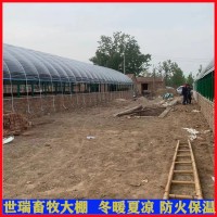 搭建肉鸭养殖大棚价格 养鸭棚施工标准 建造养鸭大棚厂家