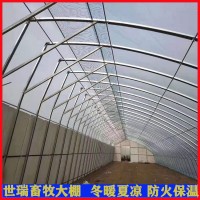 蔬菜种植大棚搭建 水果种植棚建设 日光暖棚施工安装厂家